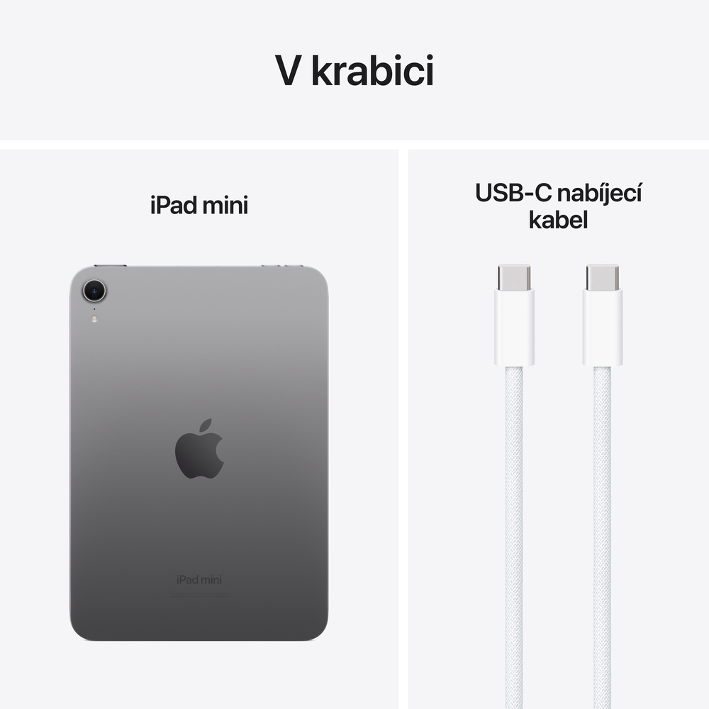 iPad mini Wi-Fi 256GB Vesmírně šedý (2024)