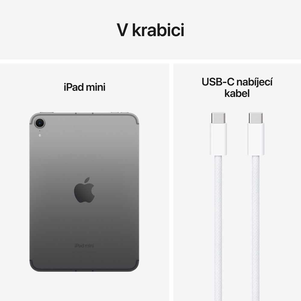iPad mini Wi-Fi + Cellular 256GB Vesmírně šedý (2024)
