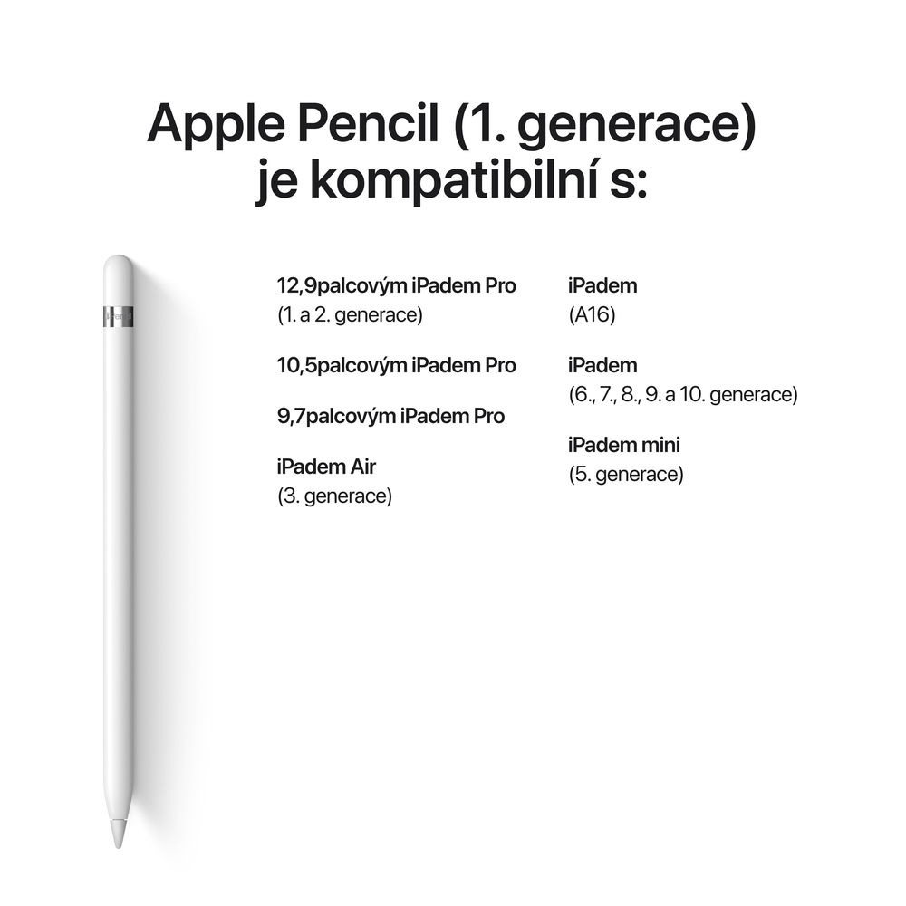 Apple Pencil (1. generace) + USB-C adaptér
