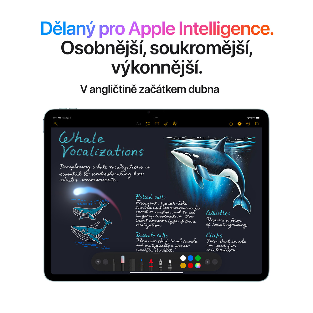 iPad Air 13" Wi-Fi 1TB Hvězdně bílý (2025)