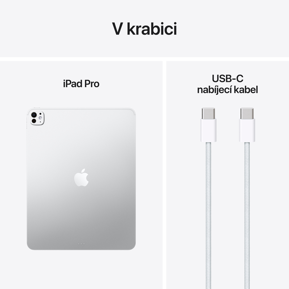 iPad Pro 13" Wi-Fi 256GB Stříbrný (2025)