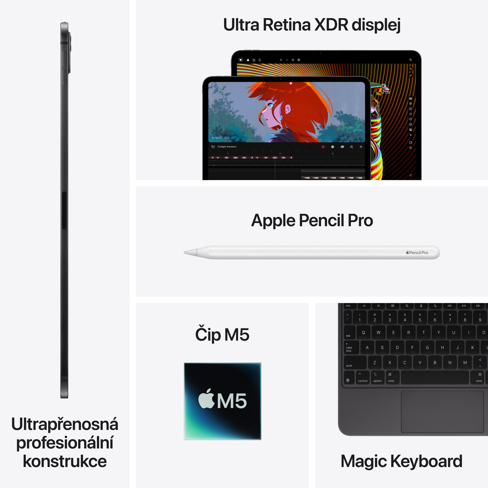 iPad Pro 11" Wi-Fi + Cellular 512GB Vesmírně černý (2025)