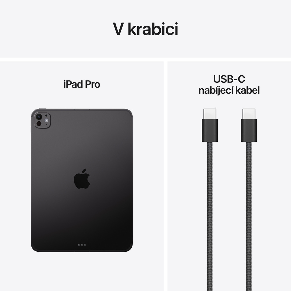 iPad Pro 11" Wi-Fi + Cellular 512GB Vesmírně černý (2025)