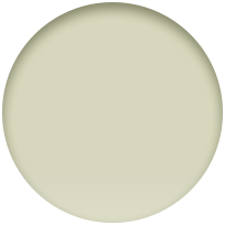 Pale Succulent