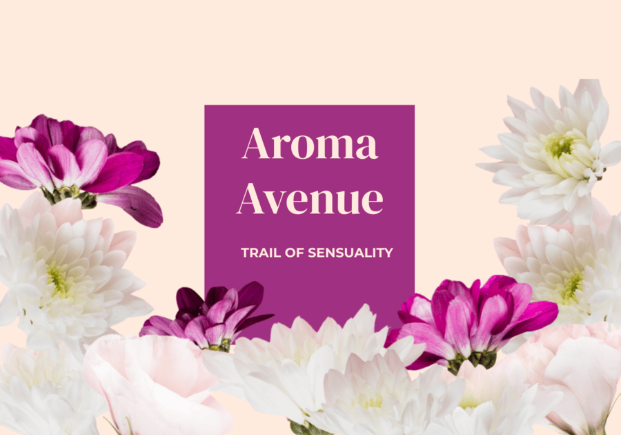 Aroma Avenue