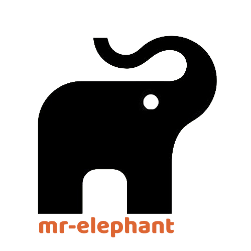 Mr. Elephant