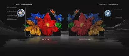 Sf 20260313154820