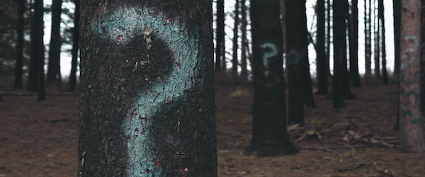 Developer Job Description Templates