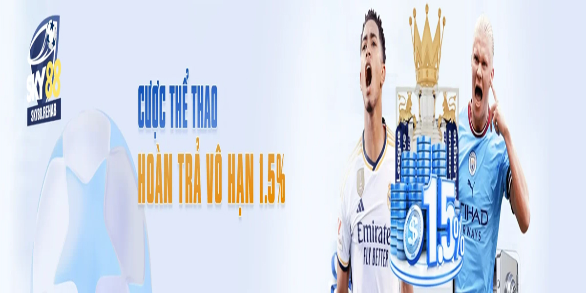 Banner image