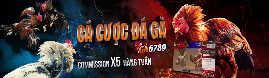 Banner image