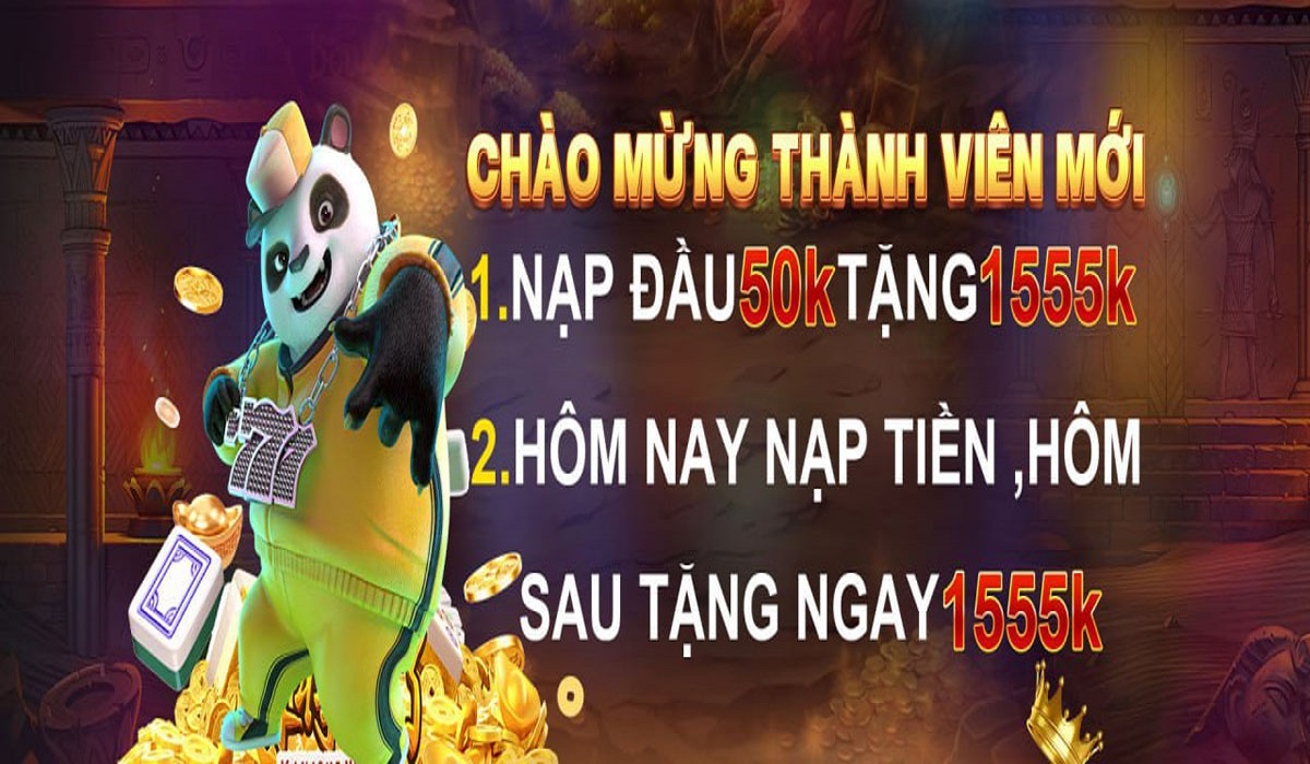 Banner image