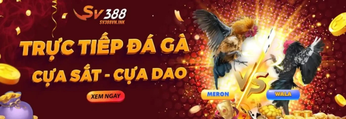 Banner image