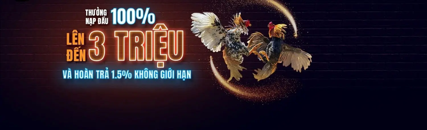 Banner image