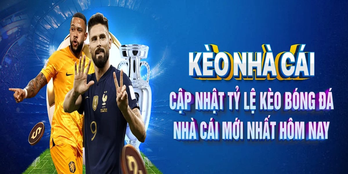 Banner image