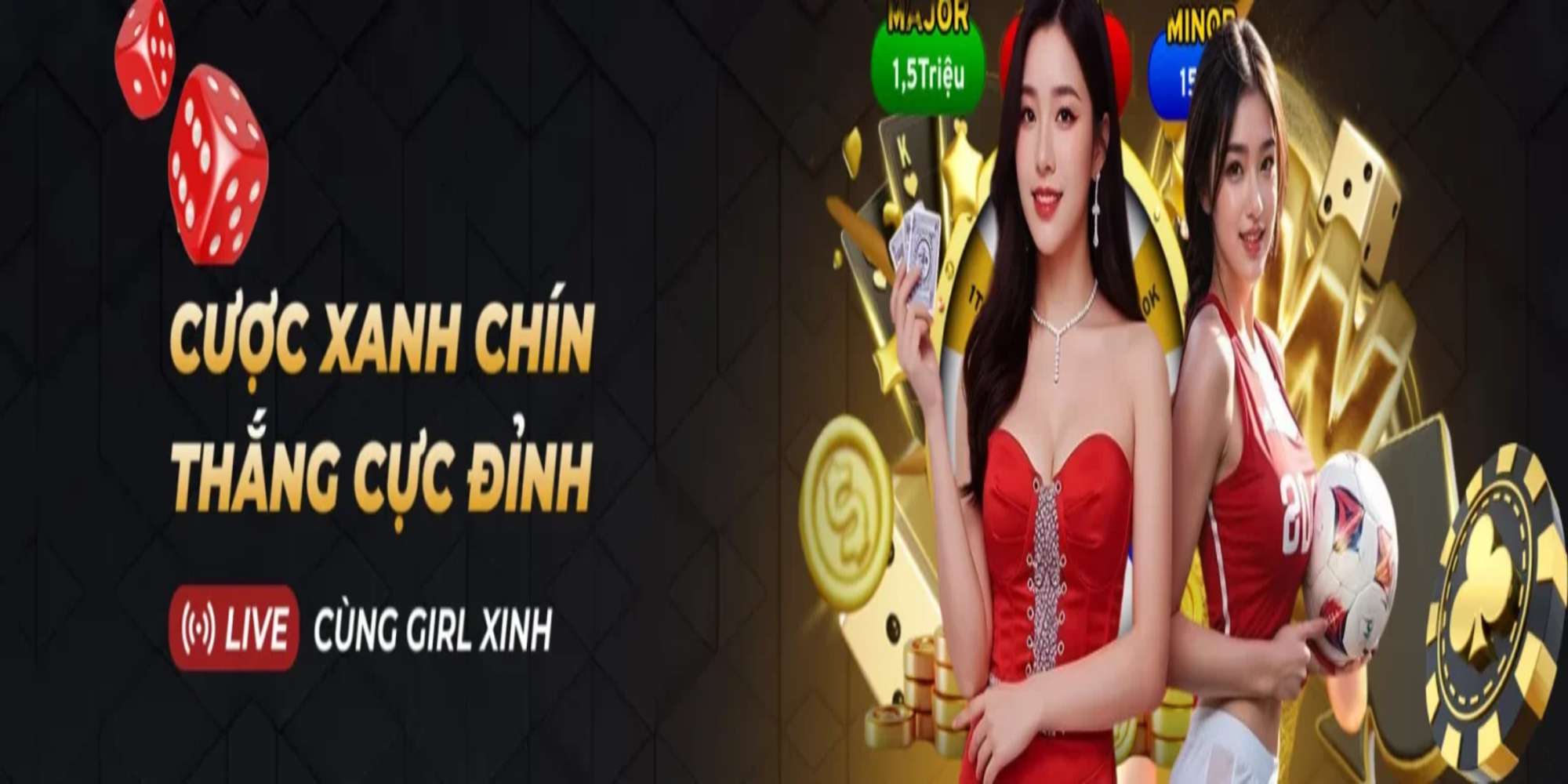 Banner image
