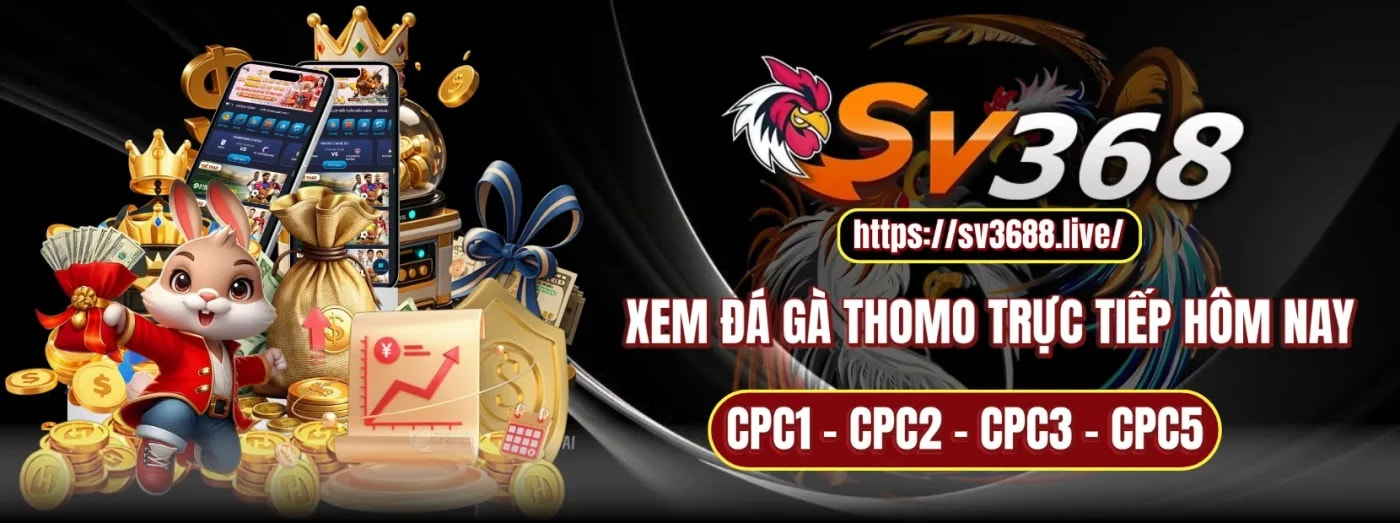 Banner image