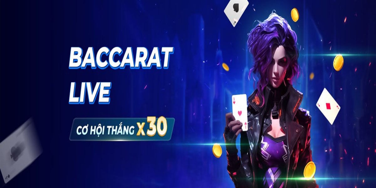 Banner image