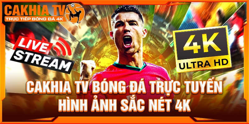 Banner image