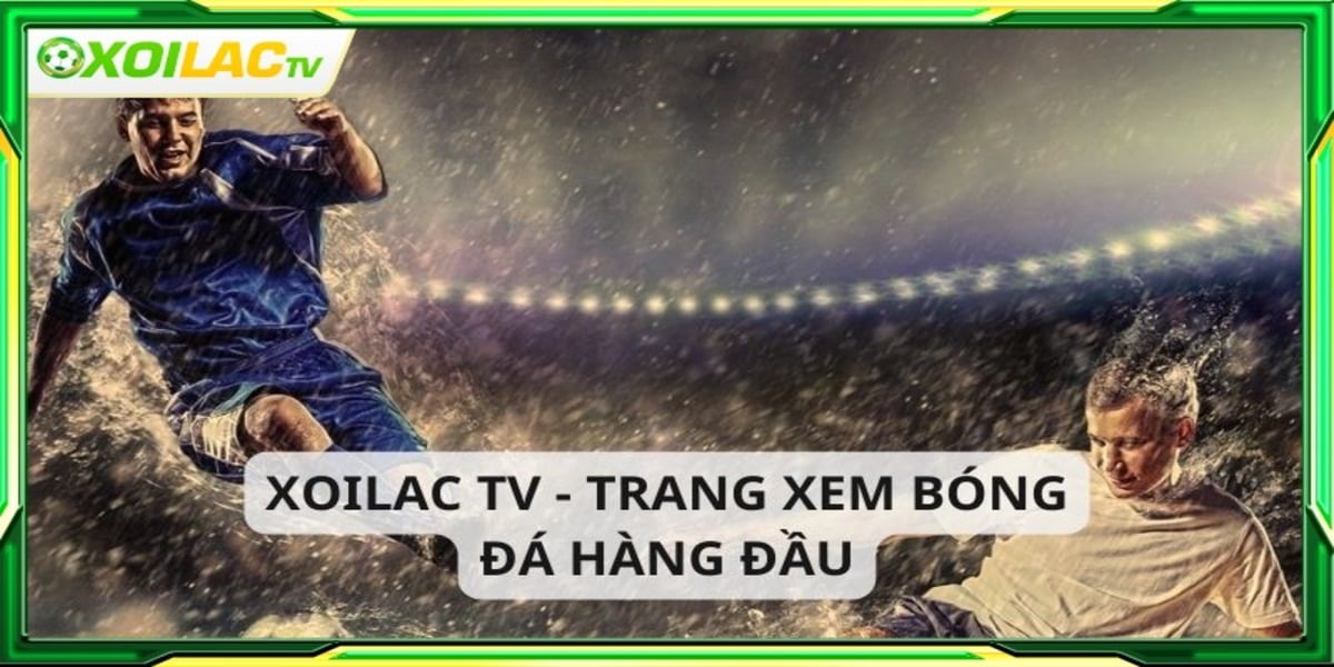 Banner image