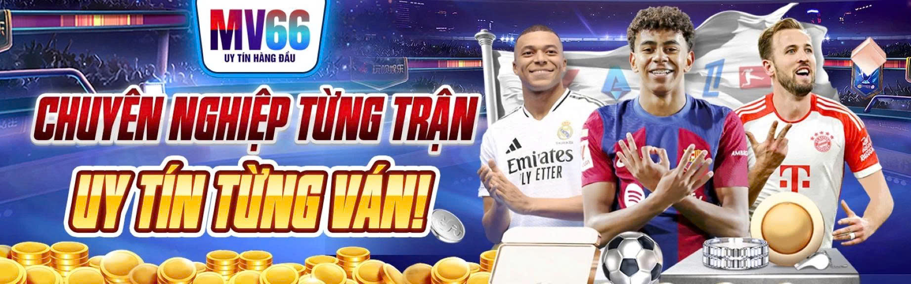 Banner image