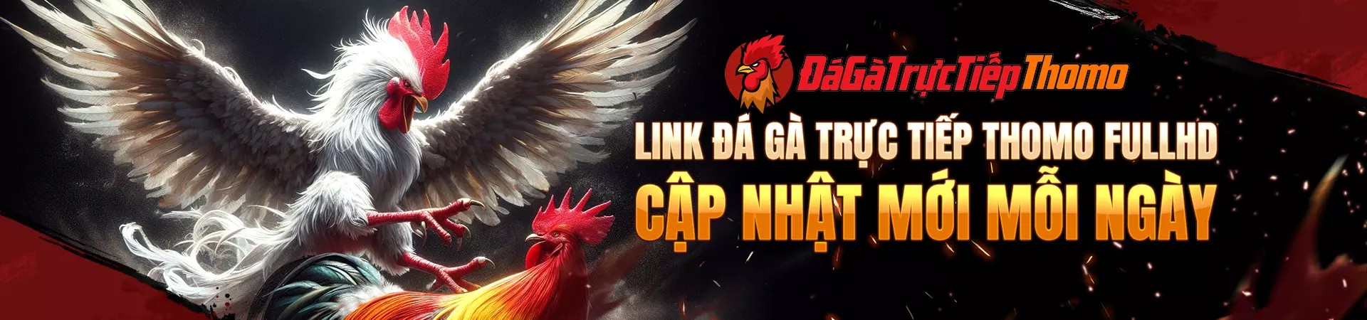 Banner image