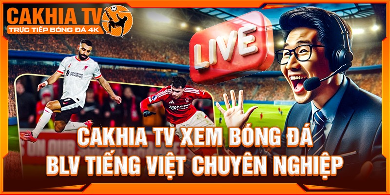 Banner image