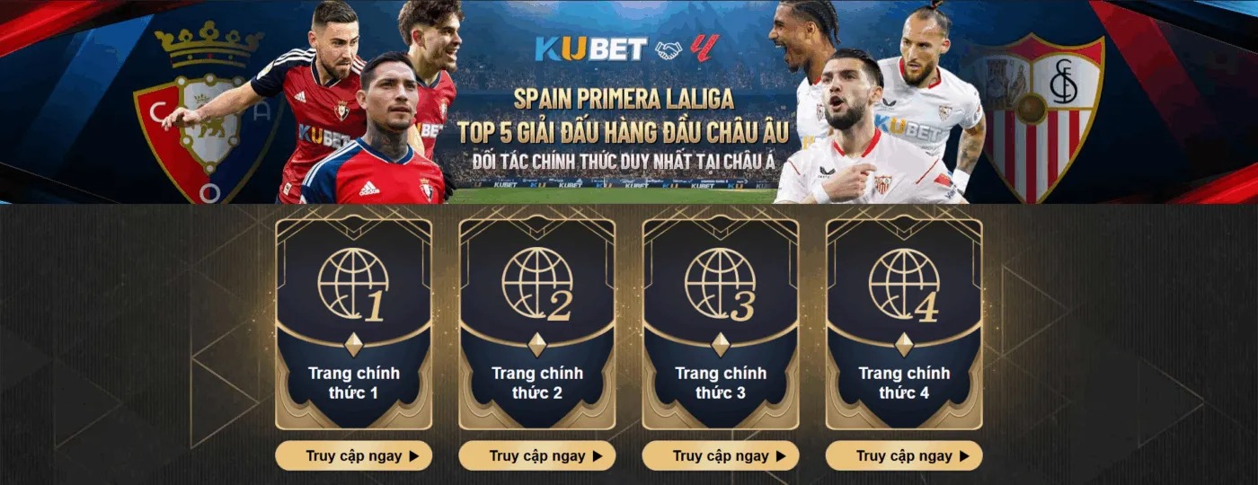 Banner image