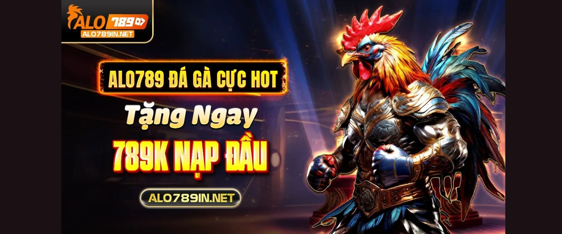 Banner image