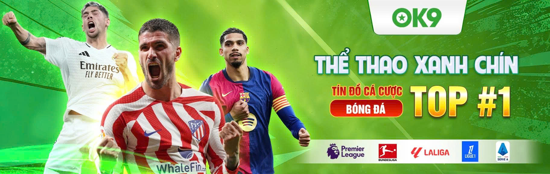Banner image