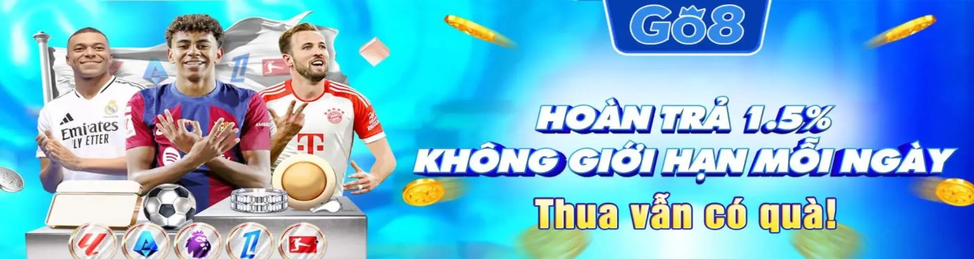 Banner image