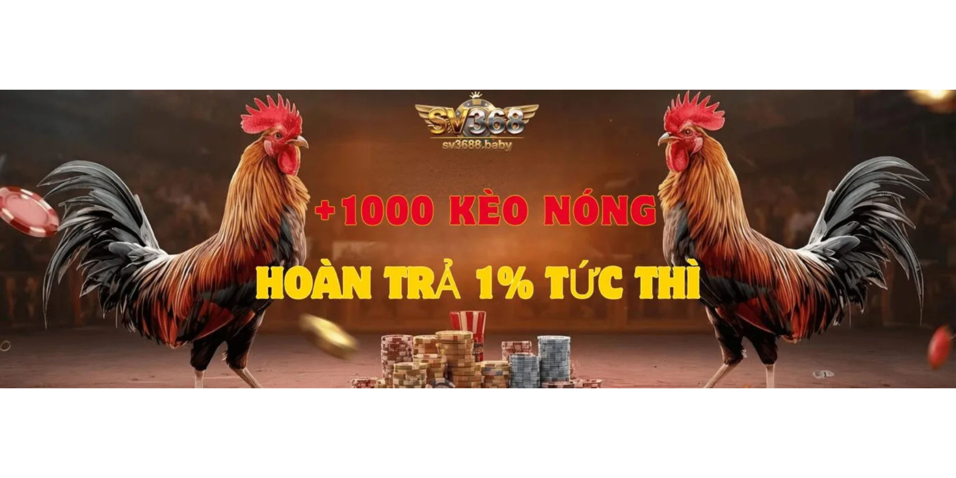 Banner image