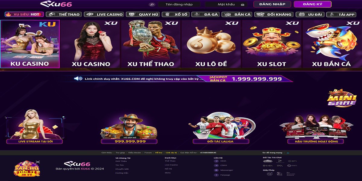 Banner image