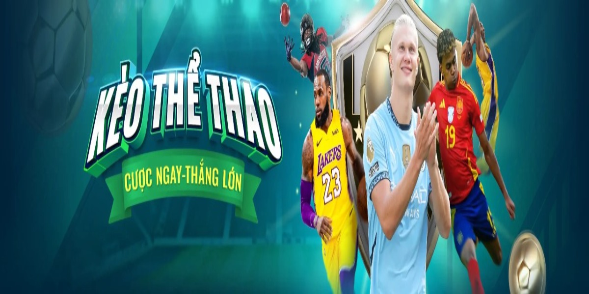 Banner image