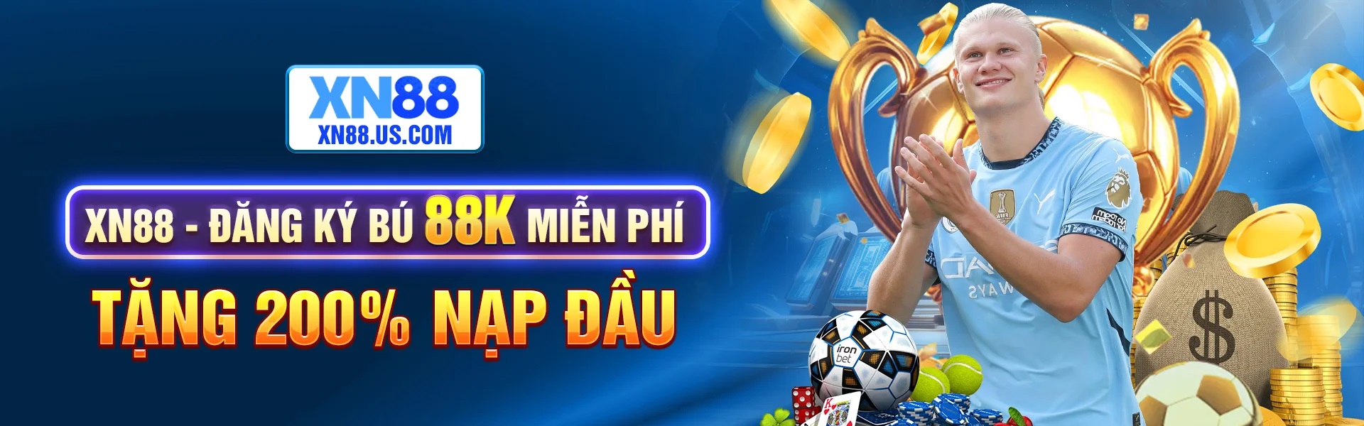 Banner image