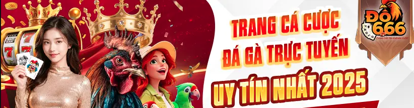 Banner image