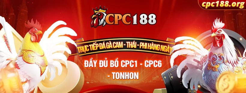 Banner image