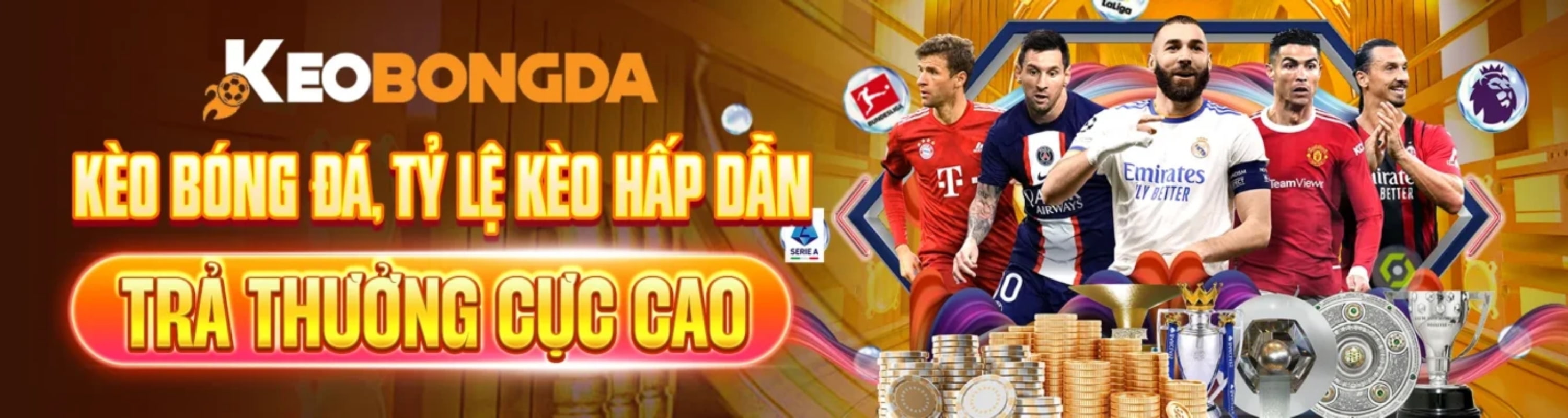 Banner image