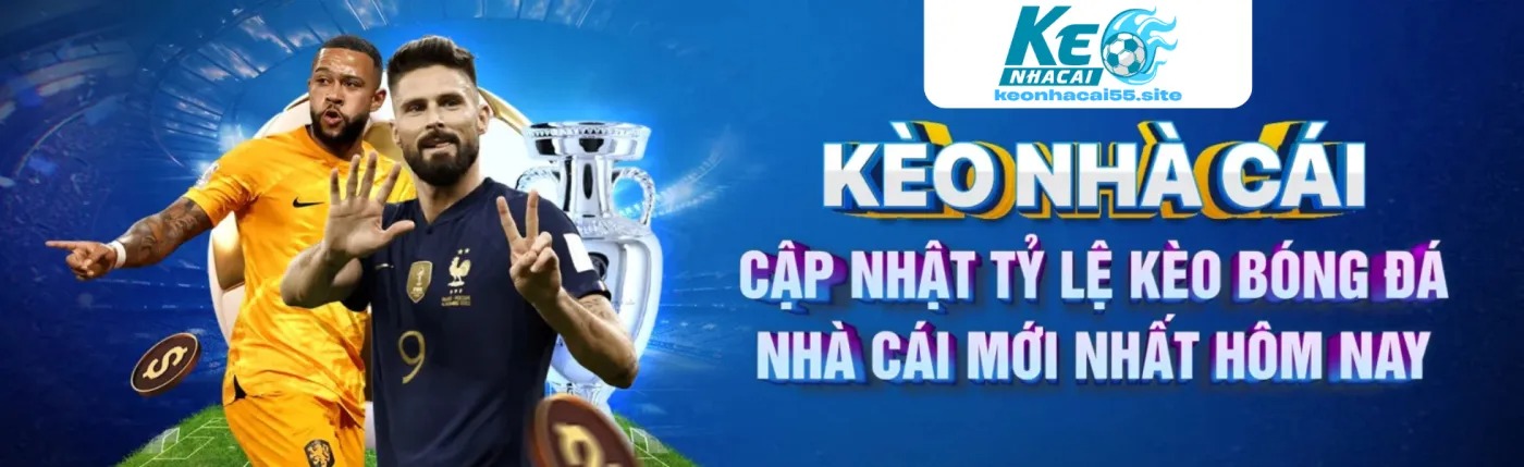 Banner image