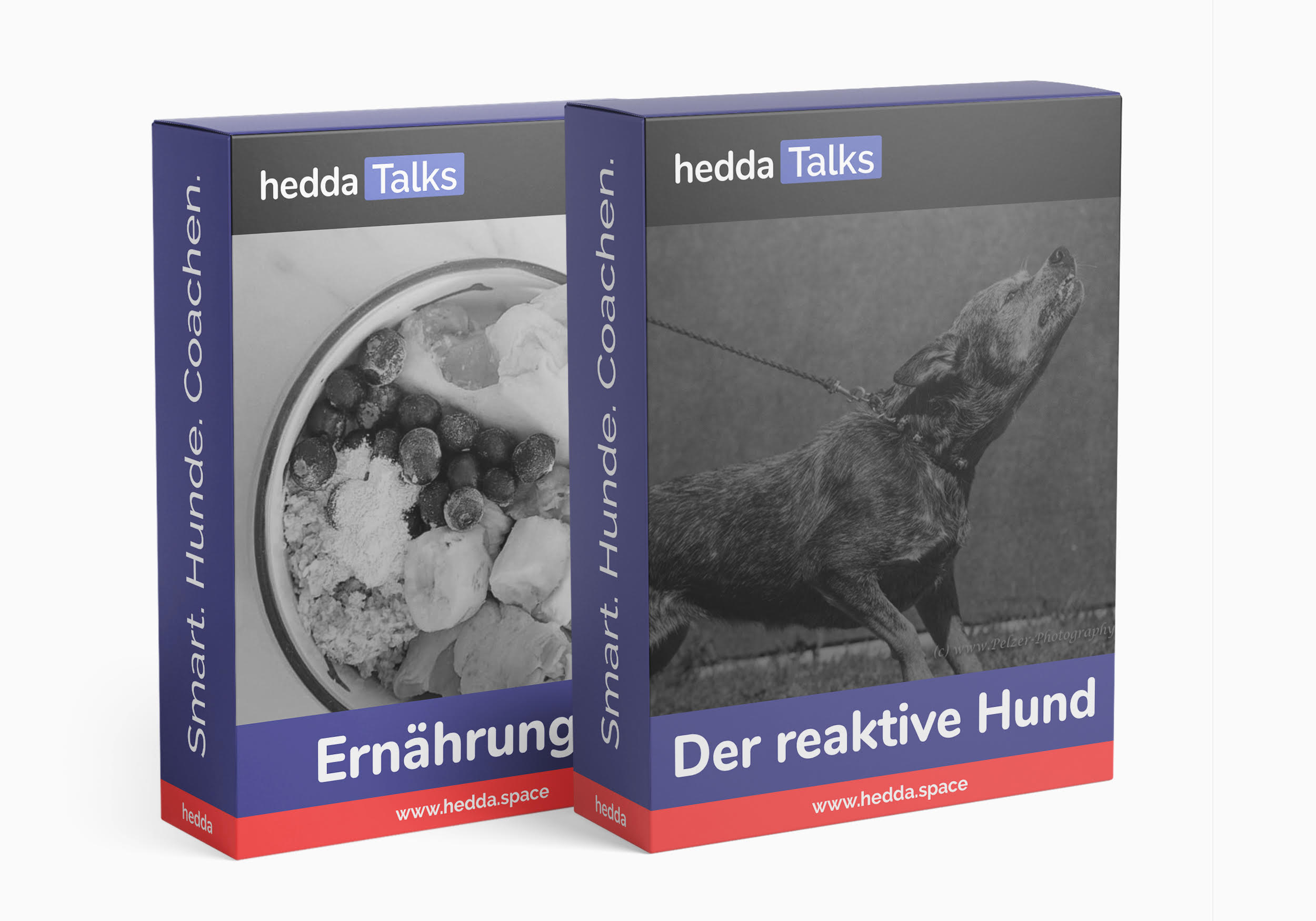 Talk Bundle - der reaktive Hund und Ernährung+