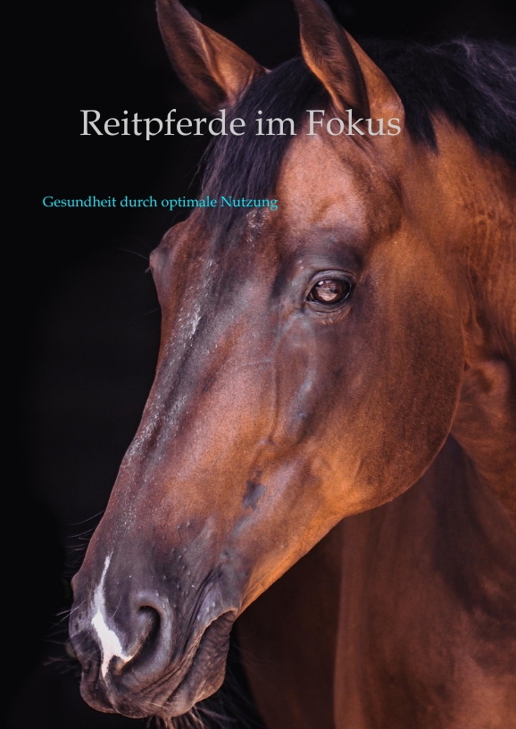 Produktabbildung zu Reitpferde im Fokus