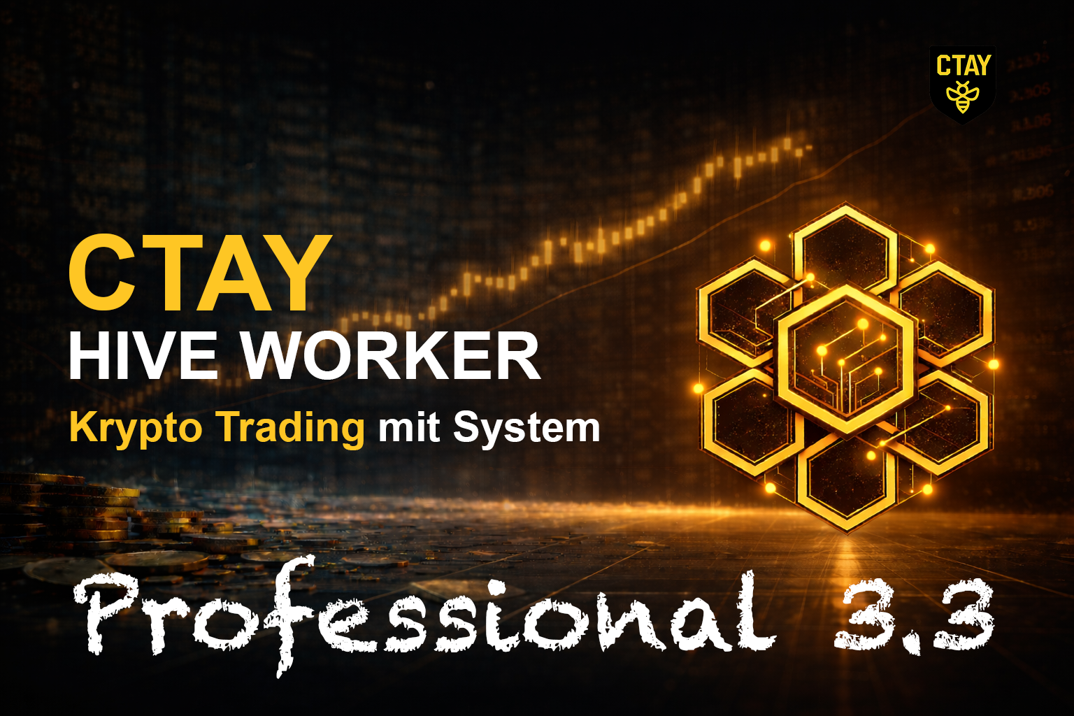 CTAY Hive Worker Professional 3.3 (Aktion)