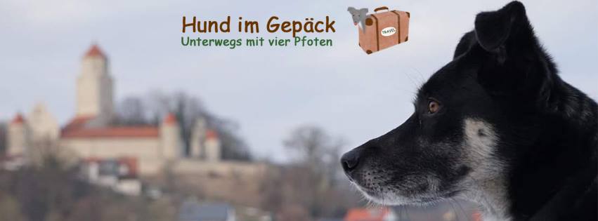 Hund im Gepäck - unterwegs mit vier Pfoten