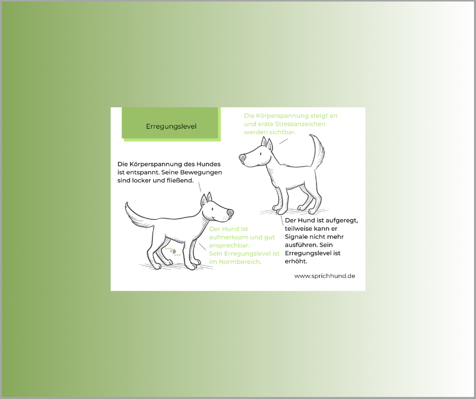 Lizenz Sprich Hund! Körpersprachies 9 - Schlagzeilen