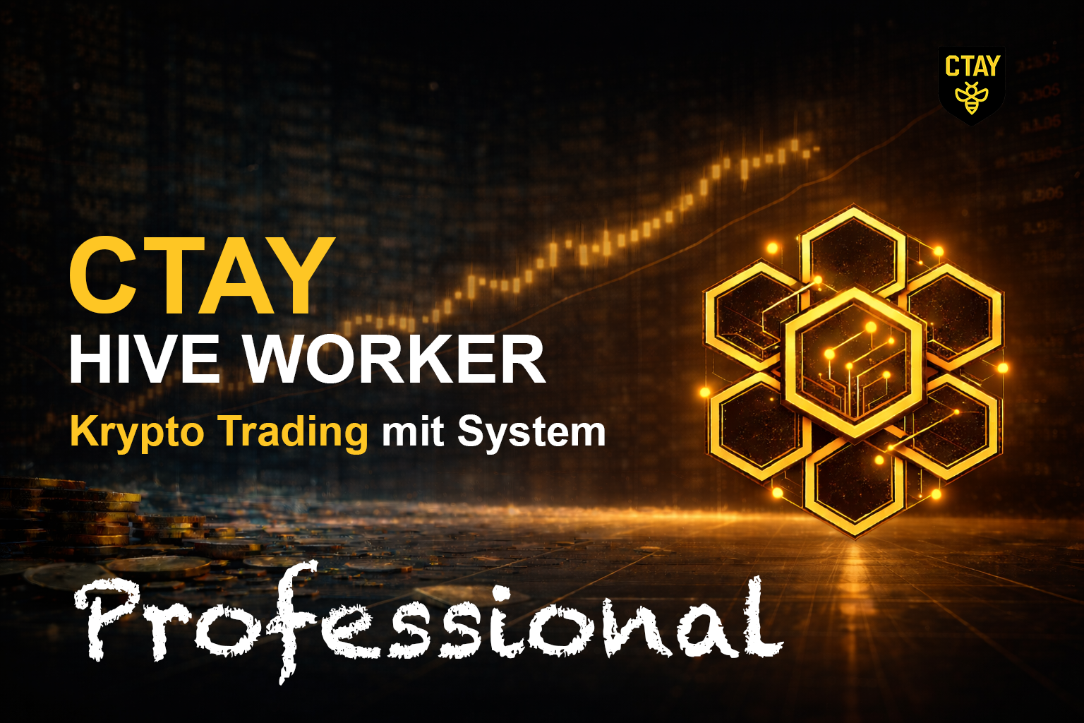 CTAY Hive Worker Professional