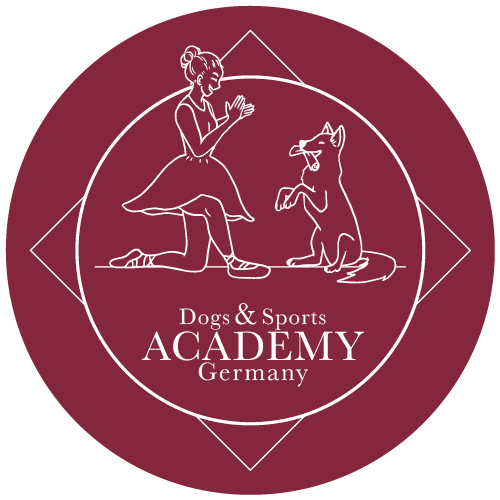 Hundeführerschein Niedersachsen - Theorie und Praxis