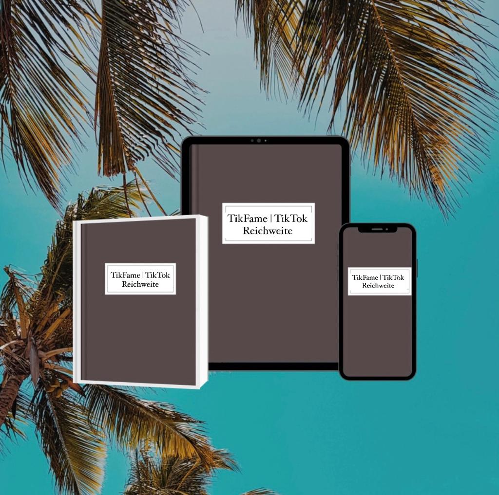 TikFame | Tiktok Reichweite