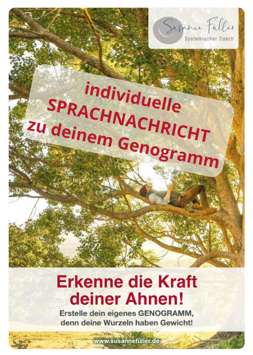 SPRACHNACHRICHT - Mein professioneller Blick auf dein Genogramm!
