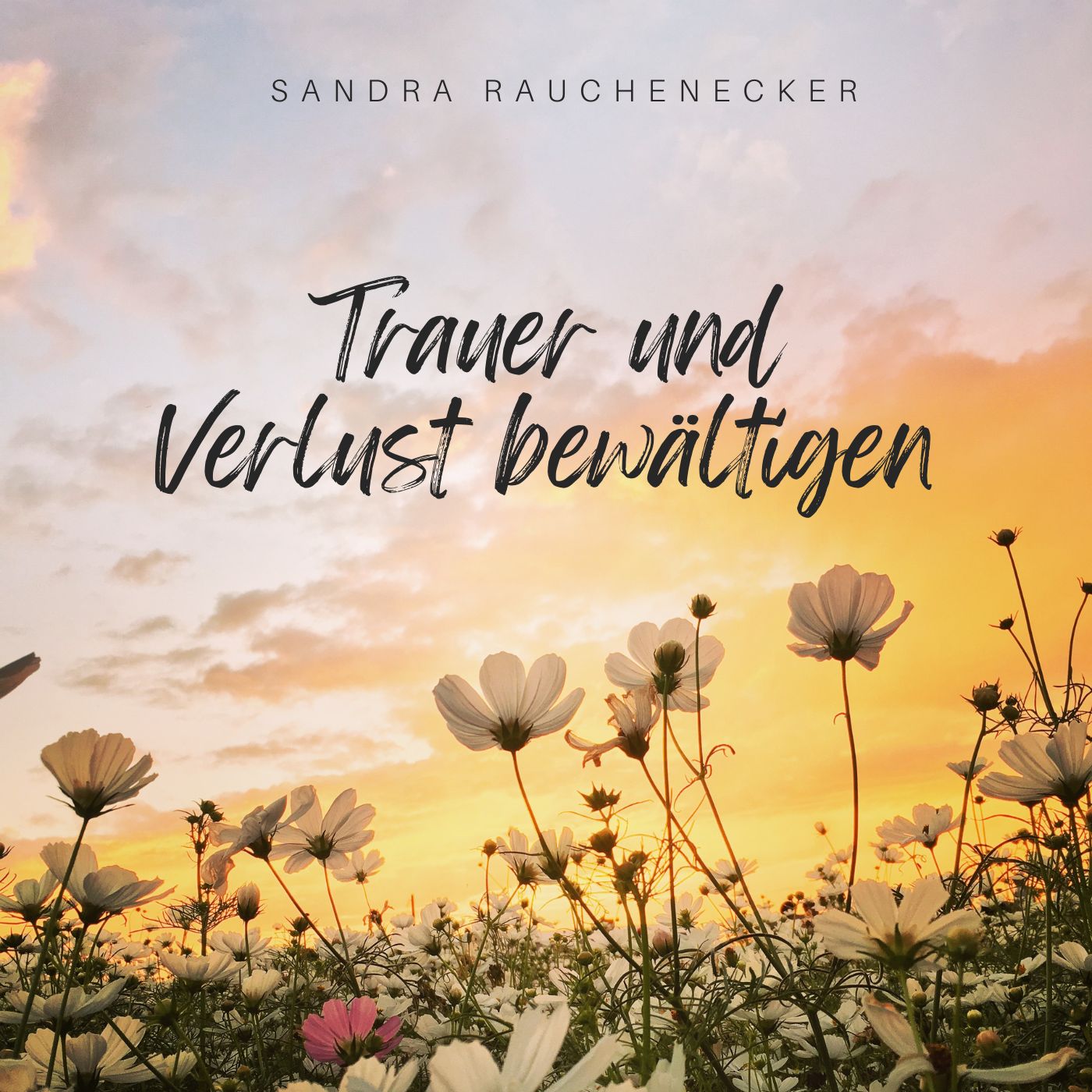 Meditation Trauer und Verlust bewältigen