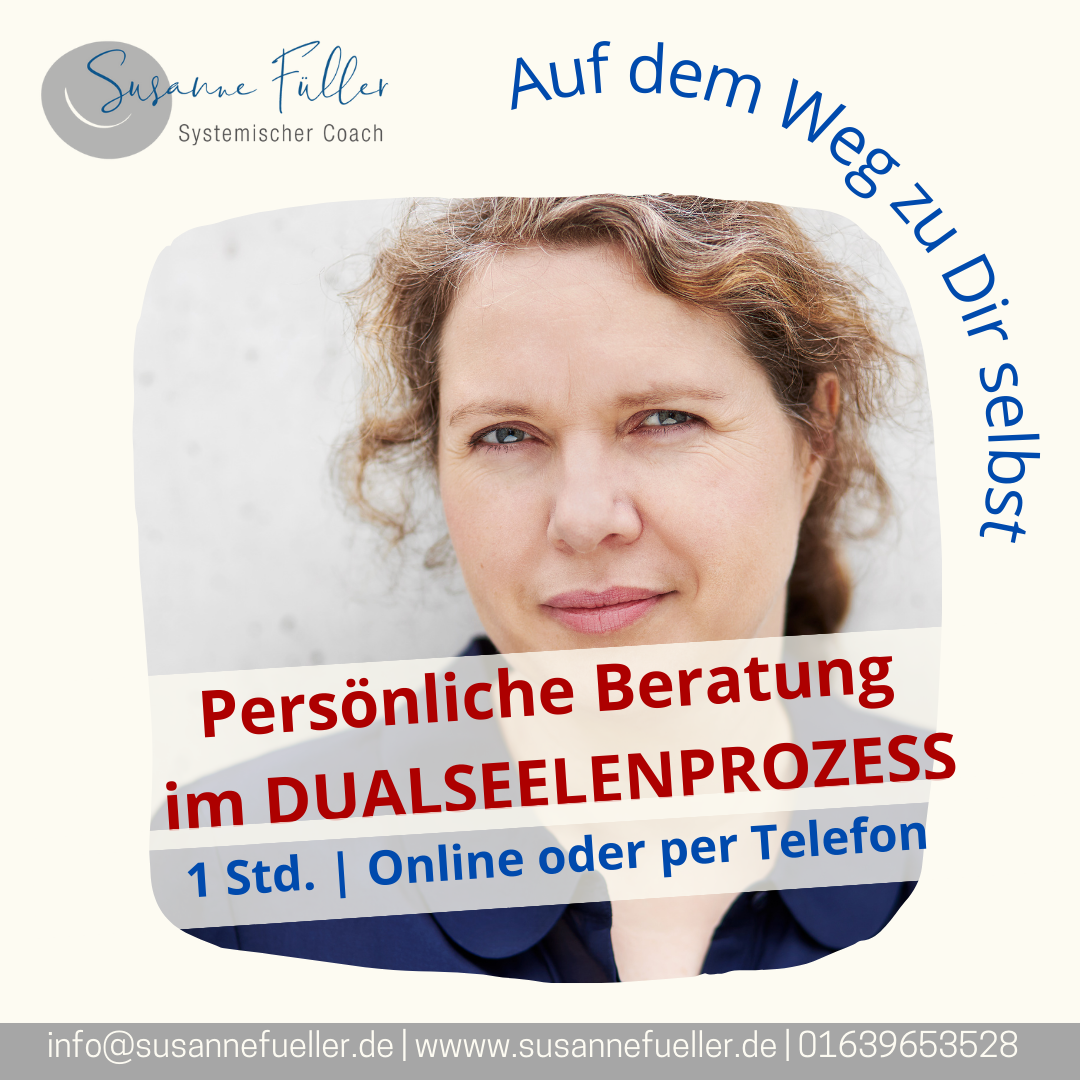 1 Stunde Beratung im Dualseelenprozess