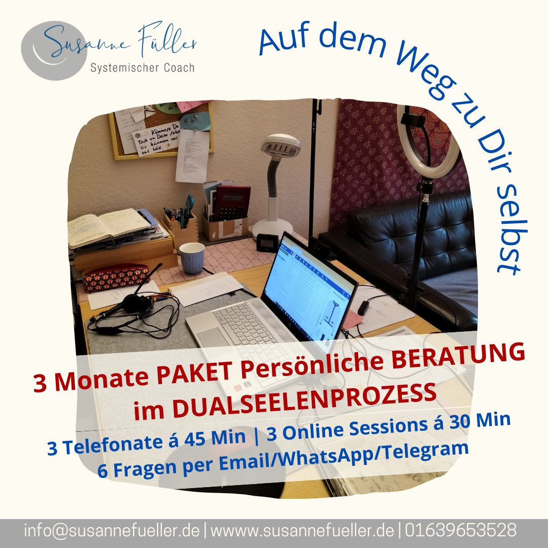 3 Monatspaket BERATUNG im Dualseelenprozess